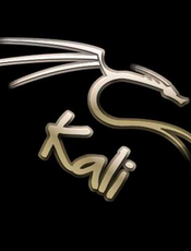 Kali Linux 秘籍 中文版