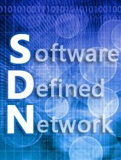SDN网络指南