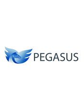 Pegasus - Key-Value存储系统