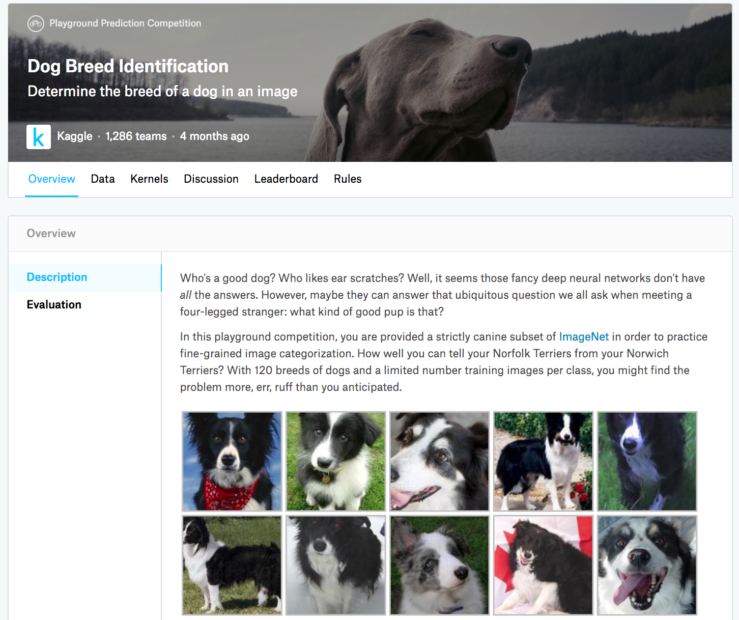 狗的品种识别比赛的网页信息。比赛数据集可通过点击“Data”标签获取